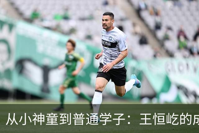 从小神童到普通学子：王恒屹的成长之路