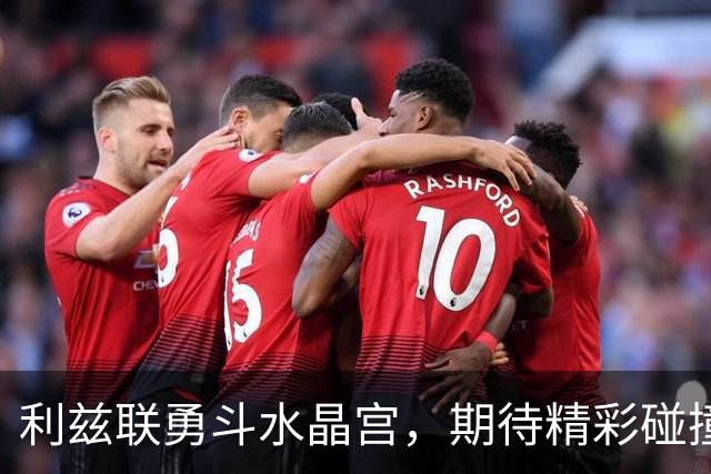 利兹联勇斗水晶宫，期待精彩碰撞！